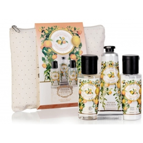 Panier des Sens Provence Citrus Travel Set sprchový gel 50 ml + tělové mléko 50 ml + krém na ruce 30 ml + taštička, cestovní kosmetická sada