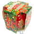 Candles Christmas Cake Vanilla & Honey vonná svíčka ve skle 100 g