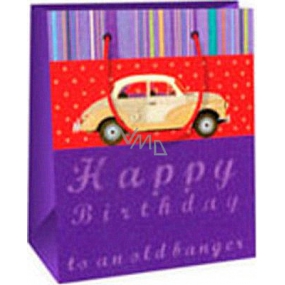 Ditipo Dárková papírová taška 11,4 x 6,4 x 14,6 cm fialová auto