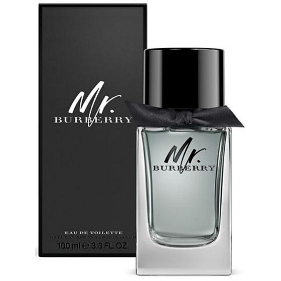 Burberry Mr. Burberry toaletní voda pro muže 100 ml