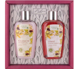Bohemia Gifts Castanum Extrakt z kaštanu koňského sprchový gel 250 ml + šampon na vlasy 250 ml, kosmetická sada