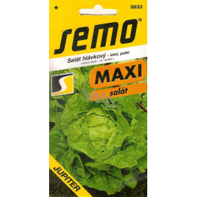 Semo Salát hlávkový letní, polní Jupiter 0,4 g