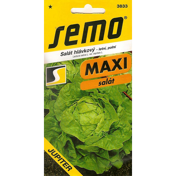 Semo Salát hlávkový letní, polní Jupiter 0,4 g