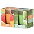 Emocio Tasty Fruit & Aloe Vera vonná svíčka sklo 52 x 65 mm 2 kusy v krabičce