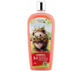 Bohemia Gifts Herbs Jahoda 3v1 sprchový gel, šampon a pěna do koupele pro děti 500 ml