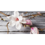 Millefiori Milano Icon Magnolia Blossom & Wood - Květy magnólie a Dřevo vůně do auta Classic růžová 47 g