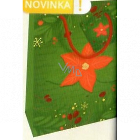 Nekupto Dárková papírová taška 23 x 18 x 10 cm Vánoční zelená s vánoční hvězdou WBM 1941 50