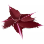 Catrice Shine Bomb rtěnka 100 Cherry Bomb 3,5 g