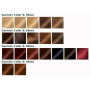 Garnier Color & Shine barva na vlasy 6.45 červeně měděná