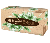 Linteo EKO papírové kapesníky 2 vrstvé 100 kusů krabička