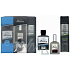Alpa Windsor kolínská voda 100 ml + voda po holení 100 ml + pěna na holení 200 ml, dárková sada