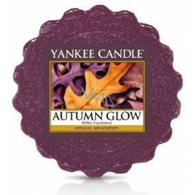 Yankee Candle Autumn Glow - Zářivý podzim vonný vosk do aromalampy 22 g
