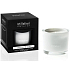 Millefiori Milano Natural White Mint & Tonka - Bílá máta a Tonkové boby Vonná svíčka hoří až 60 hodin 180 g