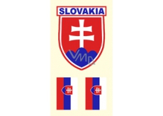 Arch Tetovací obtisky na obličej i tělo Slovensko vlajka 2 motiv
