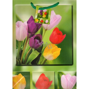 Nekupto Dárková papírová taška 23 x 18 x 10 cm Tulipány 1048 50 BL