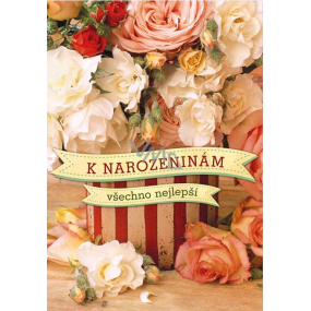 Ditipo Hrací přání K narozeninám všechno nejlepší Karel Gott C'est La Vie 224 x 157 mm
