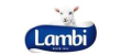 Lambi