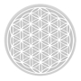 Masaru Emoto Patera mísa malá Květ života s bílým symbolem 14 x 5 cm