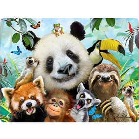 Prime3D pohlednice - Zoo Selfie 16 x 12 cm