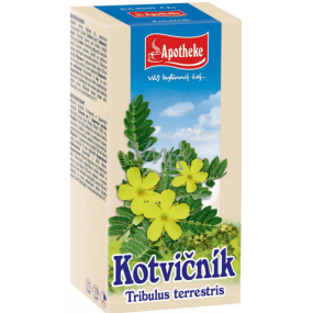 Apotheke Kotvičník zemní čaj pozitivně ovlivňuje funkci pohlavních orgánů, přispívá k normální funkci močové soustavy 20 x 1,5 g