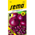 Semo Cibule kuchyňská jarní Karmen 2 g