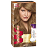 Wella Wellaton pěnová barva na vlasy 7/1 Střední popelavá blond