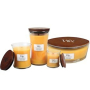 WoodWick Seaside Mimosa - Mimóza na pobřeží vonná svíčka s dřevěným knotem a víčkem sklo střední 275 g