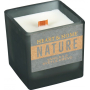 Heart & Home Nature Vanilka a světlé dřevo vonná svíčka velká sklo, doba hoření až 20 hodin 90 g