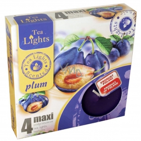 Tea Lights Plum vonné čajové svíčky Maxi 4 kusy