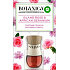 Air Wick Botanica Exotická růže a africká pelargónie elektrický osvěžovač komplet 19 ml