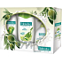 Palmolive Olive Milk sprchový gel 250 ml + mýdlo 300 ml + šampon 200 ml, kosmetická sada