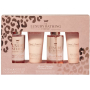 Grace Cole Vanilka & Mandle pěna do koupele 100 ml + tělová mlha 100 ml + krém na ruce 50 ml + tělový krém 50 ml, kosmetická sada pro ženy
