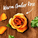 Air Wick Reed Diffuser Essential Oils Warm Amber Rose - Vůně jantarové růže vonné tyčinky osvěžovač vzduchu 30 ml
