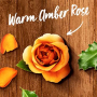 Air Wick Reed Diffuser Essential Oils Warm Amber Rose - Vůně jantarové růže vonné tyčinky osvěžovač vzduchu 30 ml