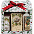 Bohemia Gifts Vánoční dárkový set sprchové gely 2× 100 ml + vonná kartička jablko a skořice