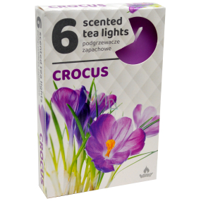 Tea Lights Krokus vonné čajové svíčky 6 kusů
