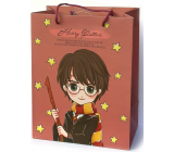Epee Merch Harry Potter - Harry dárková papírová taška 18 x 22,5 x 10 cm