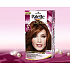Schwarzkopf Palette Deluxe barva na vlasy 667 měděná 115 ml