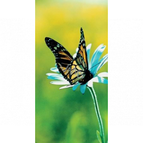 Albi Magnetická záložka do knížky Motýl na květině 8,7 x 4,4 cm