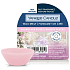 Yankee Candle Snowflake Kisses - Polibky sněhové vločky vonný vosk do aromalampy 22 g